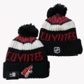 2024 Phoenix Coyotes black white red NHL Sports Cuffed Knit Hats